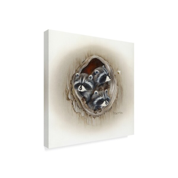 Peggy Harris 'Raccoons In Hole' Canvas Art,24x24